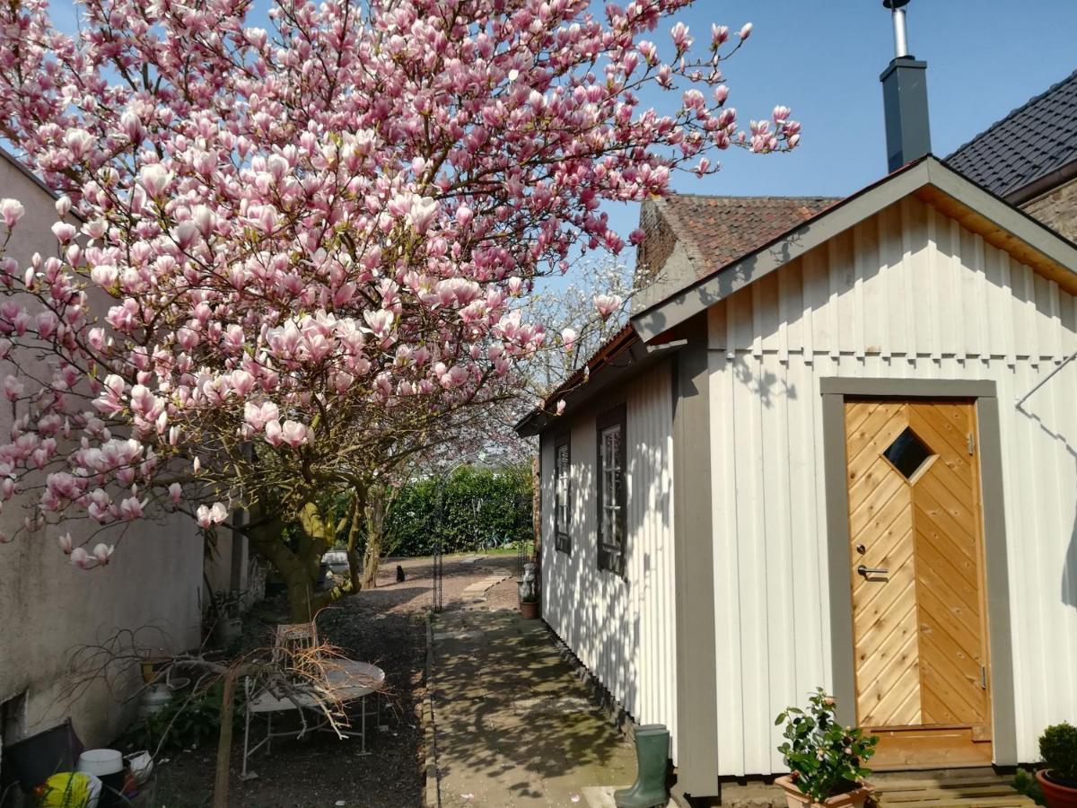 Schwedenliebe Frechen Exterior foto